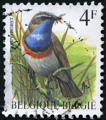 Belgica - 1985 - Aves Buzin - Pisco Peito Azul - 4F