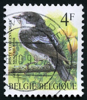 Belgica - 1985 - Aves Buzin - Papa Moscas Preto - 4F