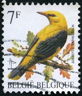 Belgica - 1985 - Aves Buzin - Papa Figos - 7F