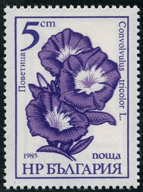 Bulgaria - 1985 - Flora - Convolvulus tricolor - 5St
