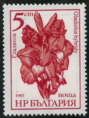 Bulgaria - 1985 - Flora - Gladiolus hybridy - 5St
