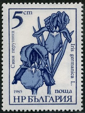 Bulgaria - 1985 - Flora - Iris germanica - 5St