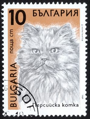 Bulgaria - 1989 - Gatos - Persa - 10St