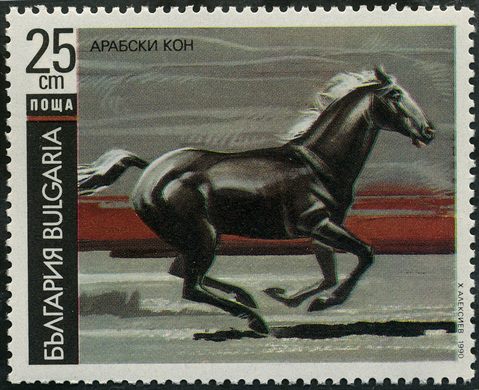 Bulgaria - 1990 - Cavalos - Arabe - 25St