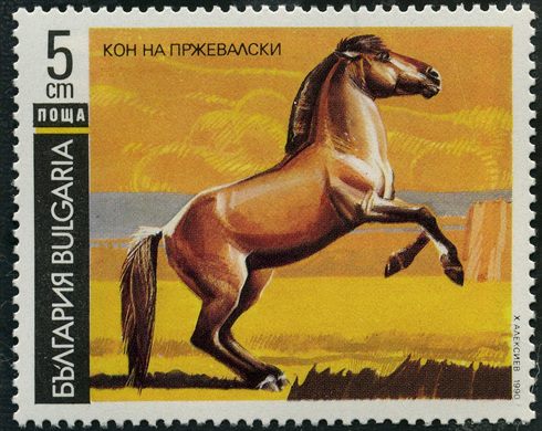 Bulgaria - 1990 - Cavalos - Przewalski - 5St