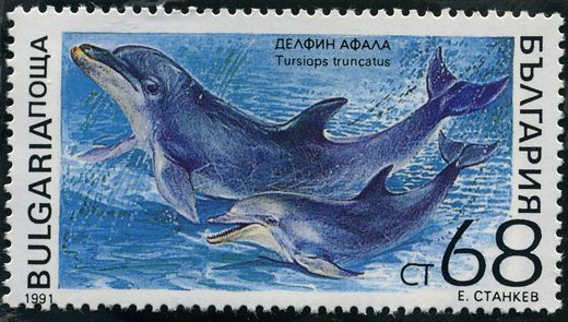 Bulgaria - 1991 - Mamiferos Marinhos - Golfinho Roaz - 68St