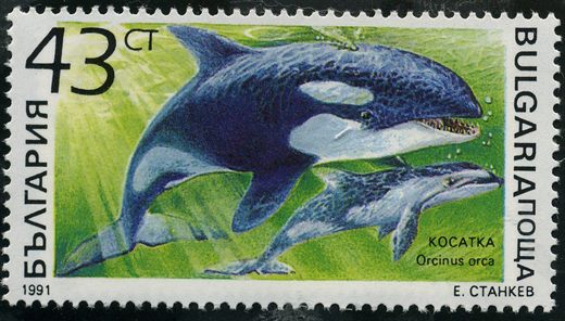 Bulgaria - 1991 - Mamiferos Marinhos - Orca - 43St