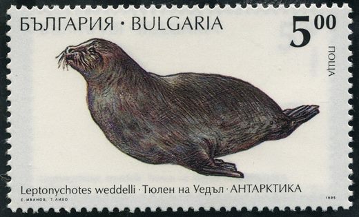 Bulgaria - 1995 - Antartida - Foca de Weddell - 5Lv