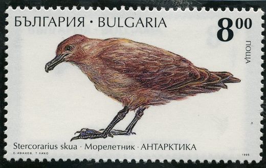Bulgaria - 1995 - Antartida - Moleiro - 8Lv
