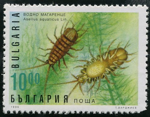 Bulgaria - 1996 - Crustaceos - Asellus aquaticus - 10Lv