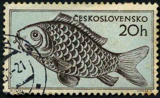 Checoslovaquia - 1955 - Peixes - Carpa - 20h