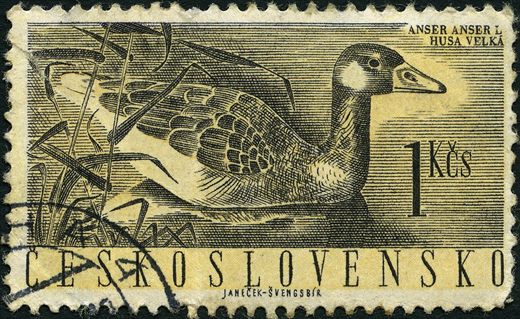 Checoslovaquia - 1960 - Aves - Ganso Bravo Husa Velka - 1Kcs