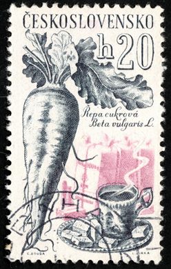 Checoslovaquia - 1961 - Plantas Cultivadas - Beterraba Sacarina - 20h