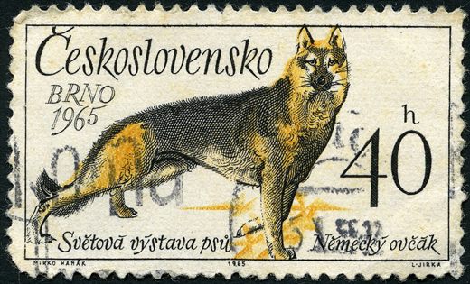 Checoslovaquia - 1965 - Exposicao Mundial Canina BRNO - Pastor Alemao - 40h