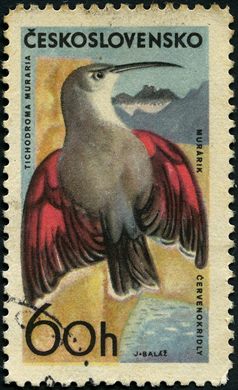 Checoslovaquia - 1965 - Aves de Montanha Trepadeira dos Muros - 60h