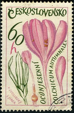 Checoslovaquia - 1965 - Plantas Colchicum autumnale - 60h