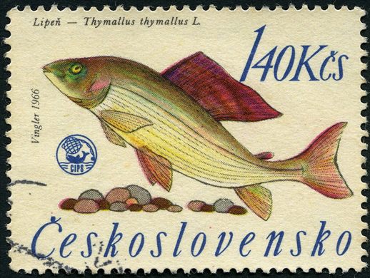 Checoslovaquia - 1966 - Peixes - Timalo Lipen - 1.40Kcs