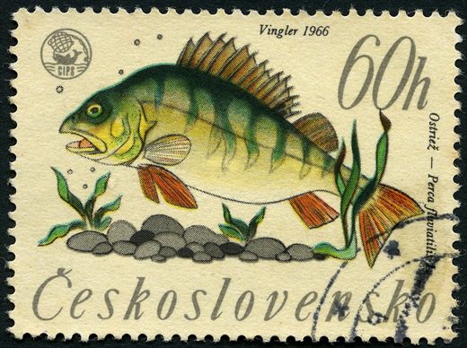 Checoslovaquia - 1966 - Peixes - Perca Ostriec - 60h