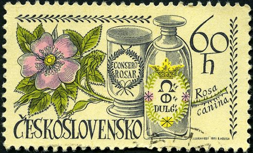 Checoslovaquia - 1971 - Farmacia Rosa canina - 60h