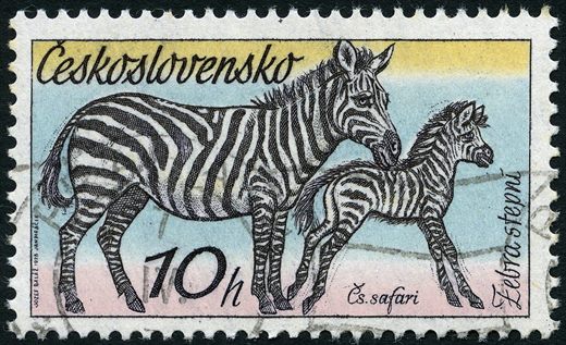 Checoslovaquia - 1975 - Safari Checoslovaco - Zebra das Estepes - 10h
