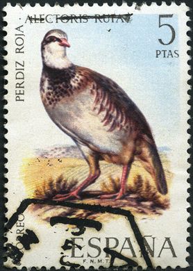 Espanha - 1971 - Fauna Hispanica Perdiz Roja - 5Ptas