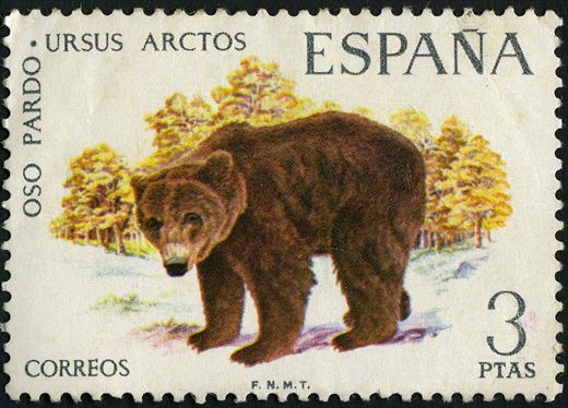 Espanha - 1971 - Fauna Hispanica Oso Pardo - 3Ptas