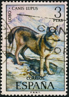 Espanha - 1971 - Fauna Hispanica Lobo - 3Ptas