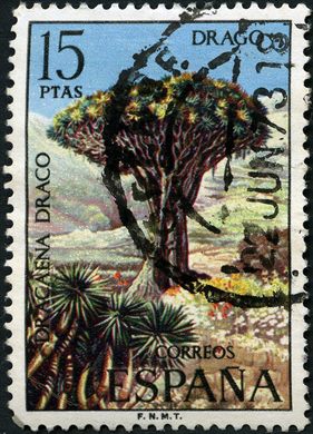 Espanha - 1973 - Flora Dracaena Draco - 15Ptas