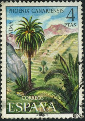 Espanha - 1973 - Flora Phoenix Canariensis Palma - 4Ptas