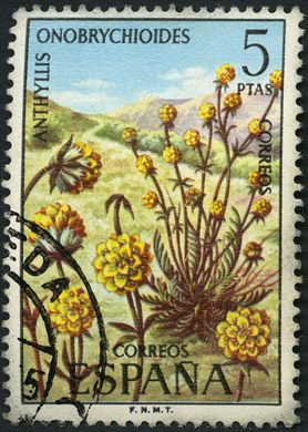 Espanha - 1974 - Flora - Anthyllis Onobrychioides - 5Ptas