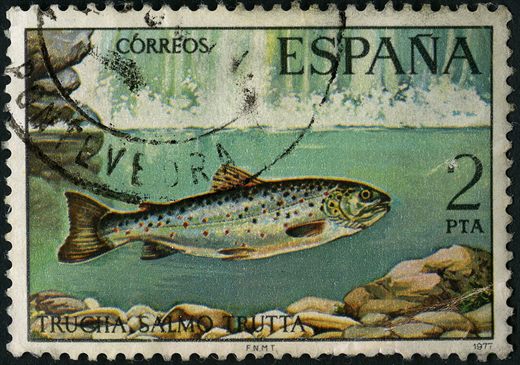 Espanha - 1977 - Fauna Hispanica Trucha Salmo Trutta - 2Ptas