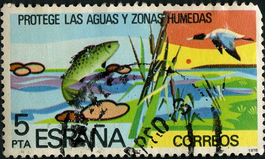 Espanha - 1978 - Protecao Natureza Aguas e Zonas Humidas - 5Ptas