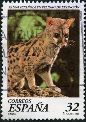 Espanha - 1997 - Fauna em Perigo Gineta - 32Ptas