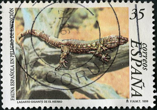 Espanha - 1999 - Fauna em Perigo Lagarto Gigante El Hierro - 35Ptas