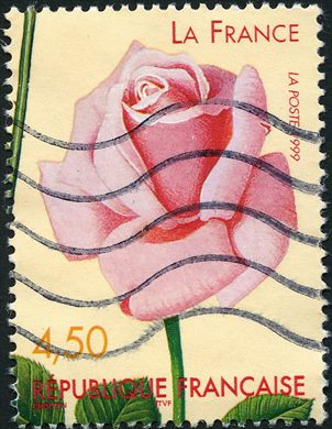 Franca - 1999 - Rosa La France - 4.50F