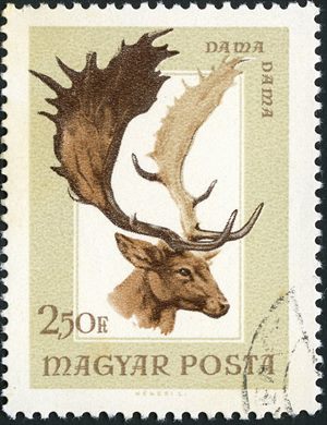 Hungria - 1964 - Animais de Caca - Dama Dama - 2.50Ft