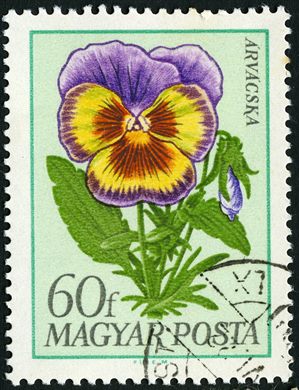 Hungria - 1968 - Flores de Jardim - Amor-Perfeito - 60f