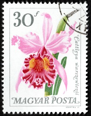 Hungria - 1968 - Orquideas - Cattleya Warszewiczii - 30f