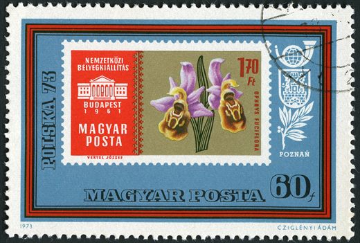 Hungria - 1973 - Polska 73 Exposicao Filatelica - Ophrys Fuciflora - 60f