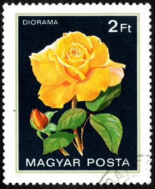 Hungria - 1982 - Rosas - Diorama - 2Ft