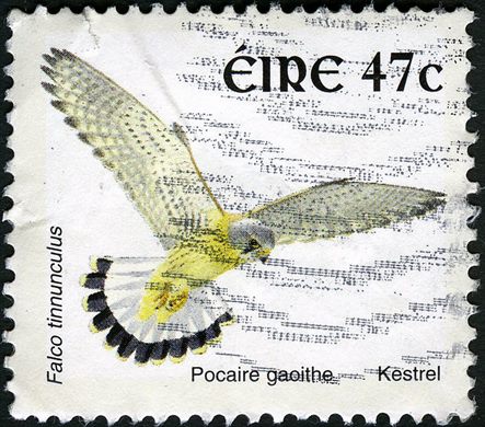 Irlanda - 1997 - Aves - 47c