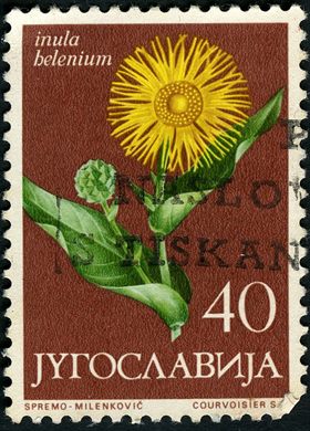 Jugoslavia - 1965 - Flores Inula Helenium - 40Din