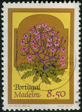 Madeira - 1981 - Flores - 8 50