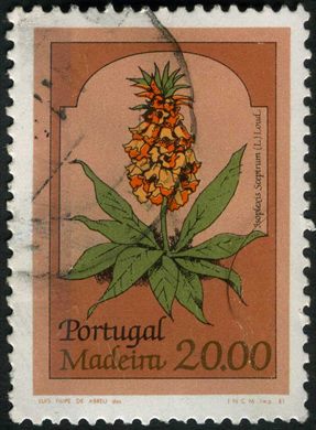 Madeira - 1981 - Flores - 20 00