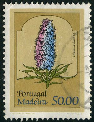 Madeira - 1981 - Flores - 50 00