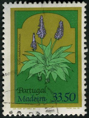 Madeira - 1982 - Flores - 33 50