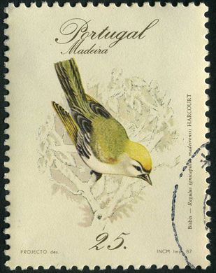 Madeira - 1987 - Fauna - Aves - Bisbis - 25Esc00