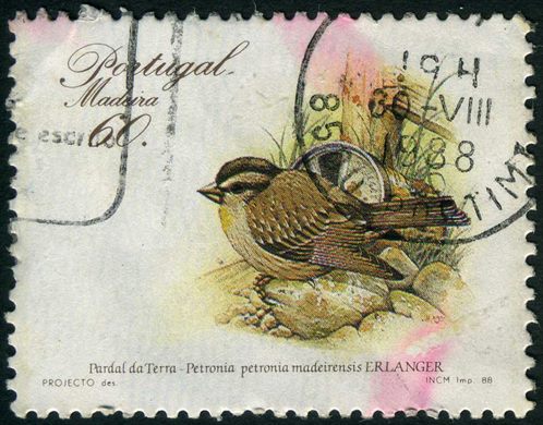 Madeira - 1988 - Aves - 60 00