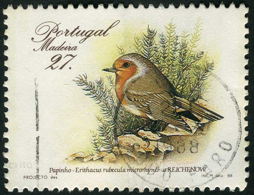 Madeira - 1988 - Aves - 27 00
