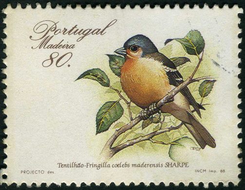 Madeira - 1988 - Aves - 80 00